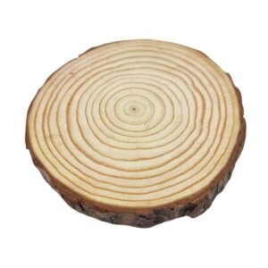 Round Natural Wood 2cm Thick - 18cm - 20cm