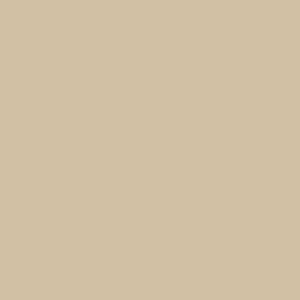 Vanguard Sheet 50cm x 62cm - BEIGE