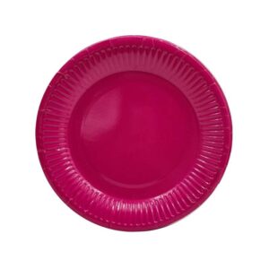 Paper Plates 6" (Coloured) 10Pcs/Pkt - Bright Pink