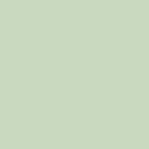 Vanguard Sheet 50cm x 62cm - Green