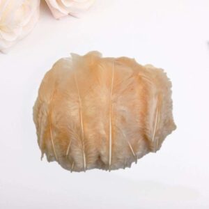 Feather Soft 5cm (100pcs/pkt) - Light Orange