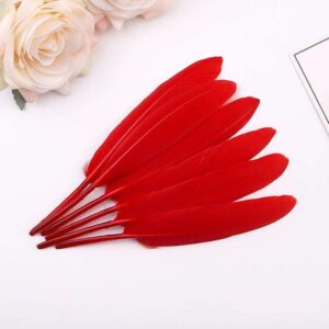 Feather Stiff 10cm (50pcs/pack)