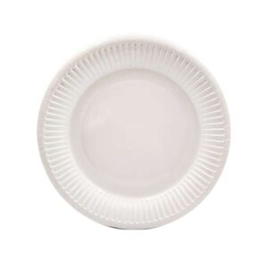 Paper Plates 6" (Coloured) 10Pcs/Pkt - Glossy White