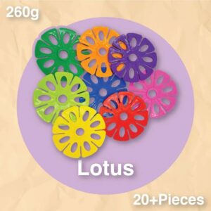 Manipulative Toy - Lotus