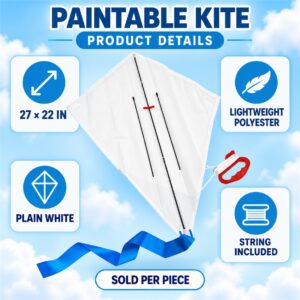 02-Paintable-Kite-Product-Details