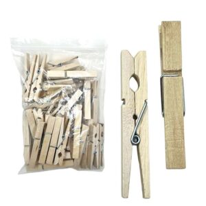 Wooden Pegs