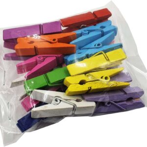 Mini Wooden Pegs (Coloured)
